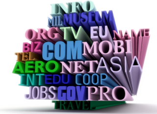 Top-level domain names