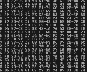 Binary digits - viewing file